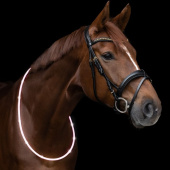 Collier d’encolure LED Light Blanc Collier d’encolure LED Light Blanc