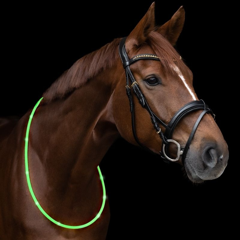 Collier d’encolure LED Light Vert