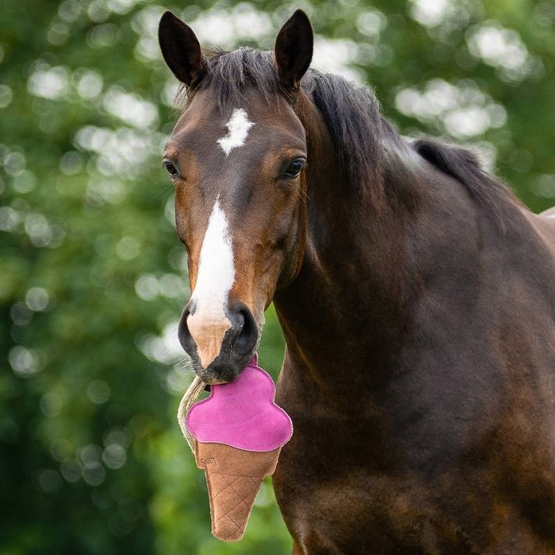 Jouet pour cheval Snackcounter Ice Cream