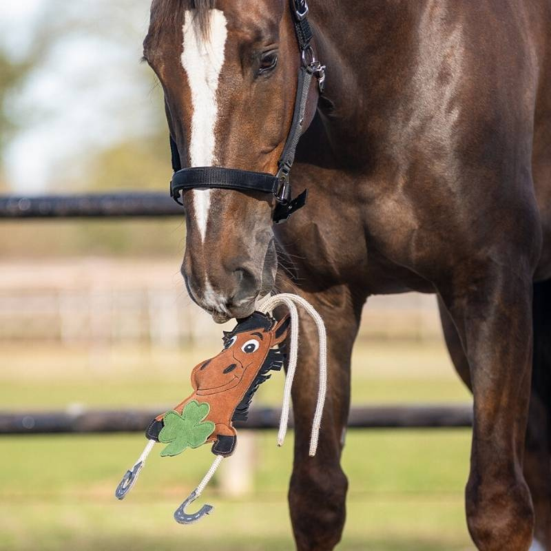 Jouet pour cheval Good Luck Vert