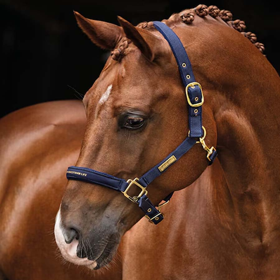 Licol HS Equestrian Life Bleu Marine
