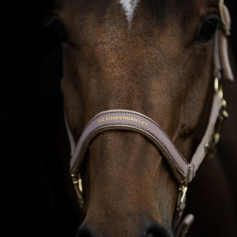 Licol HS Equestrian Life Beige