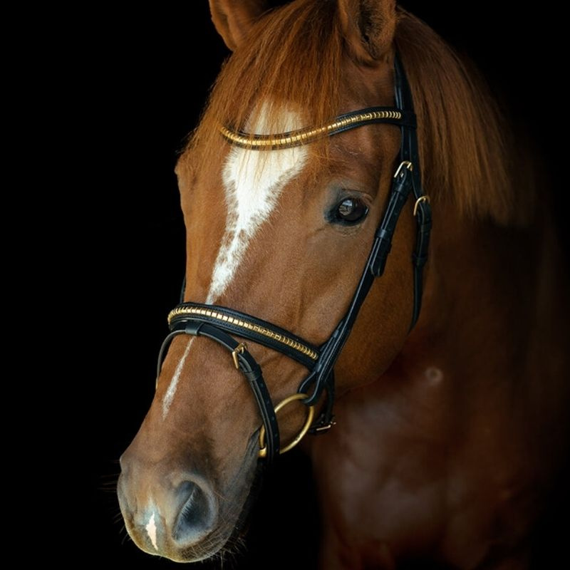 Bridon HS Clincher Aachen Noir
