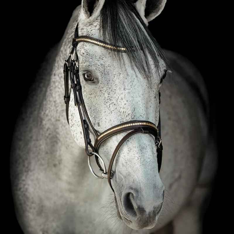 Bridon HS Clincher Aachen Marron
