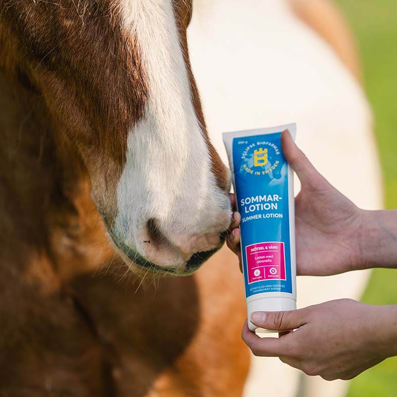 Lotion d'été à la citronnelle 250ml