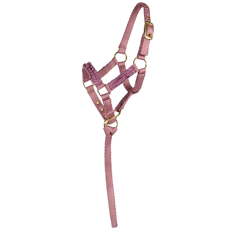 Licol pour poulain HS Non doublé Rose