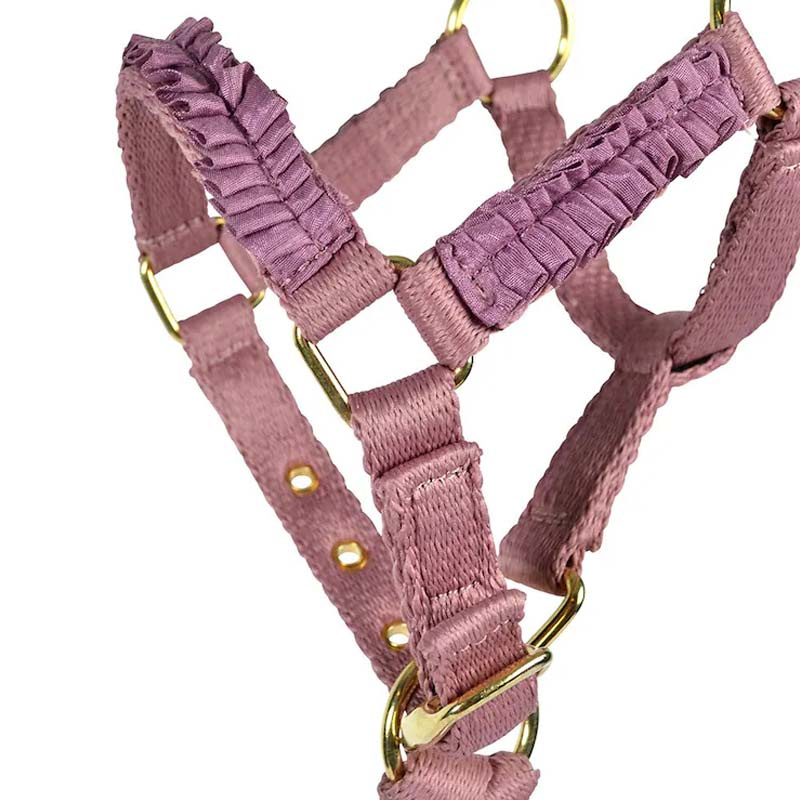 Licol pour poulain HS Non doublé Rose