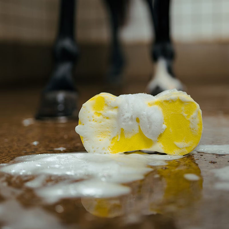 Éponge de lavage HS Infinity Jaune