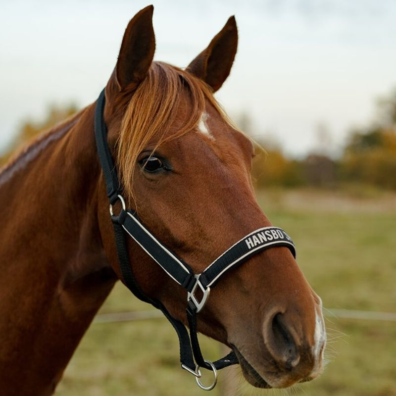 Halter réfléchissant HS Noir