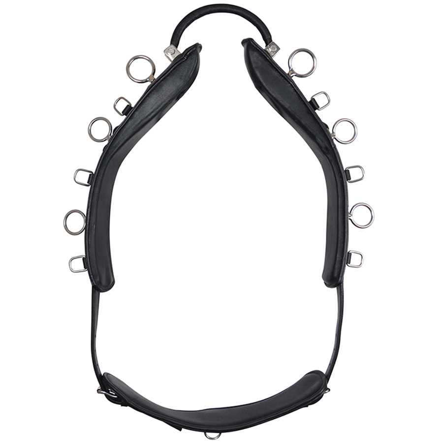 Sangle de longe avec Arc HS Noir