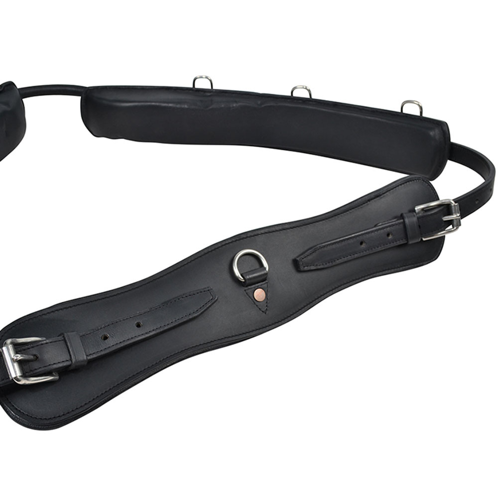 Sangle de longe avec Arc HS Noir