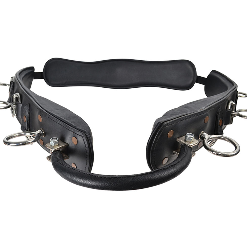 Sangle de longe avec Arc HS Noir