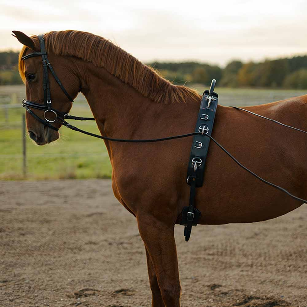 Sangle de longe avec Arc HS Noir