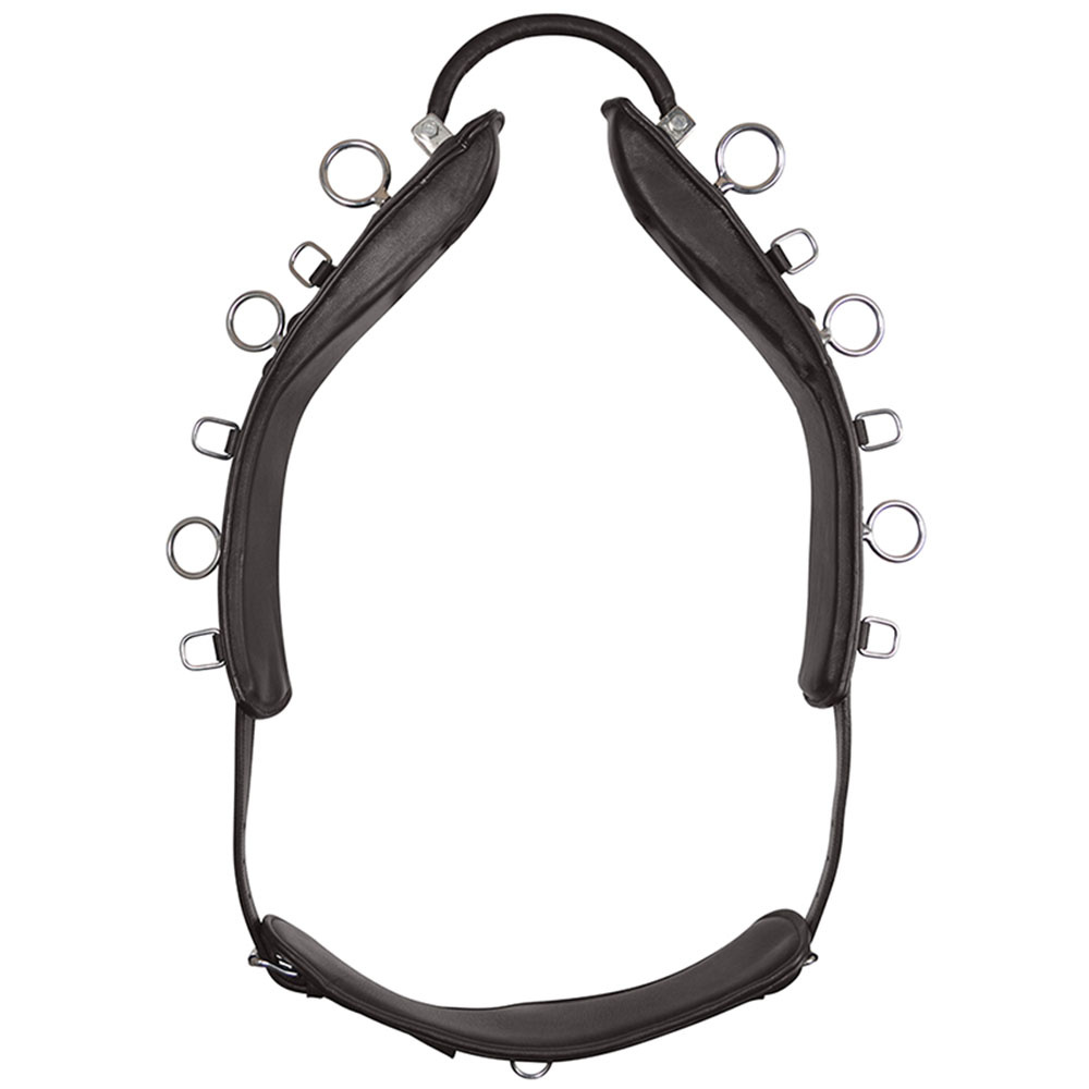 Sangle de longe avec Arc HS Marron