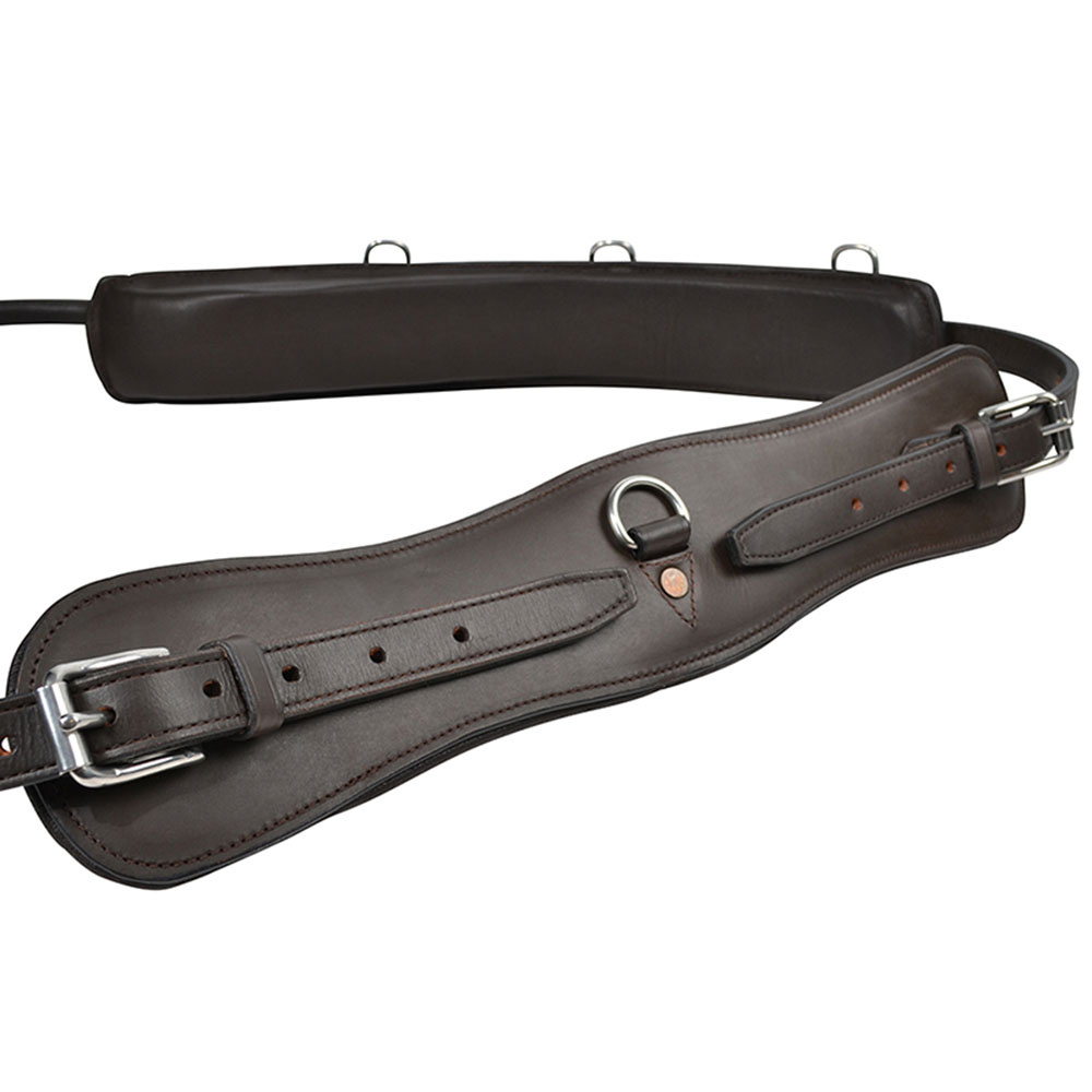 Sangle de longe avec Arc HS Marron