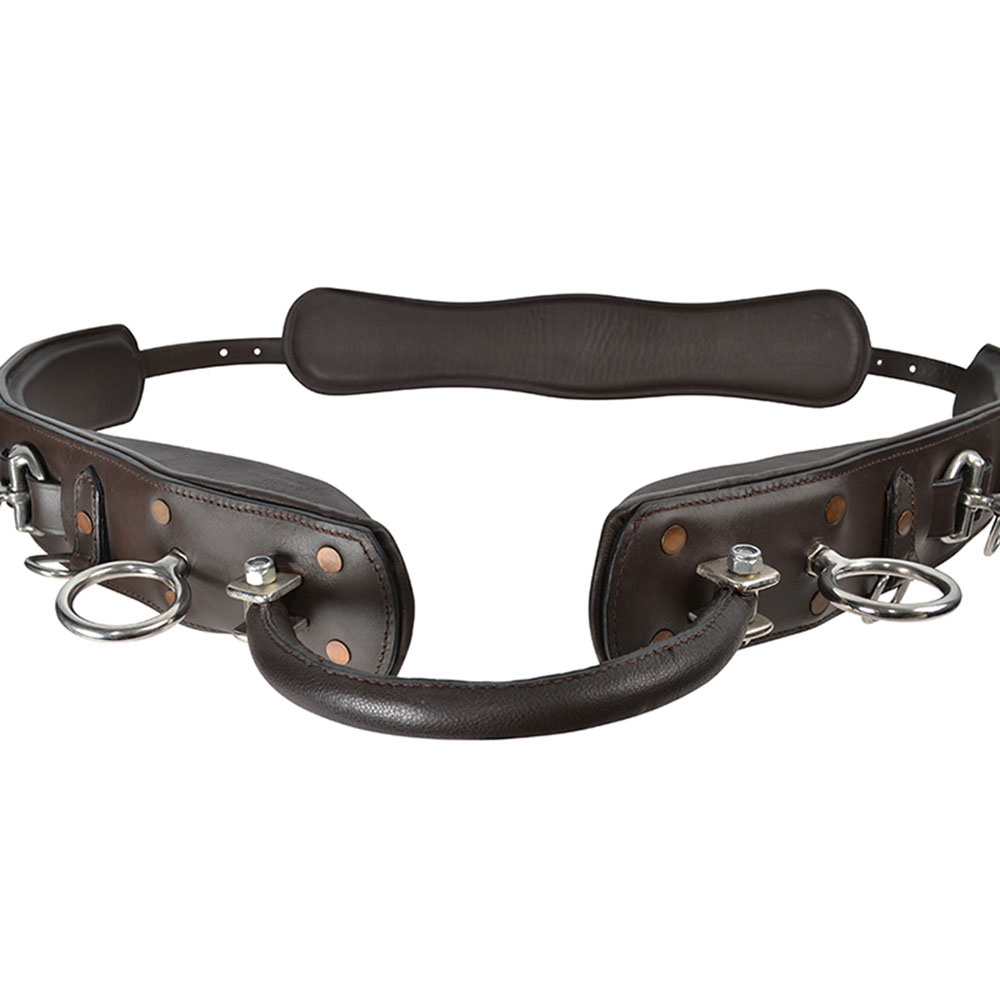 Sangle de longe avec Arc HS Marron