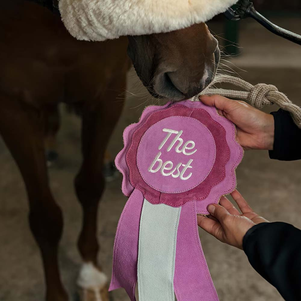 Jouet pour cheval HS Cocarde de Prix The Best Rose