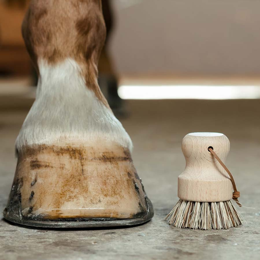 Brosse à sabot ronde Marron