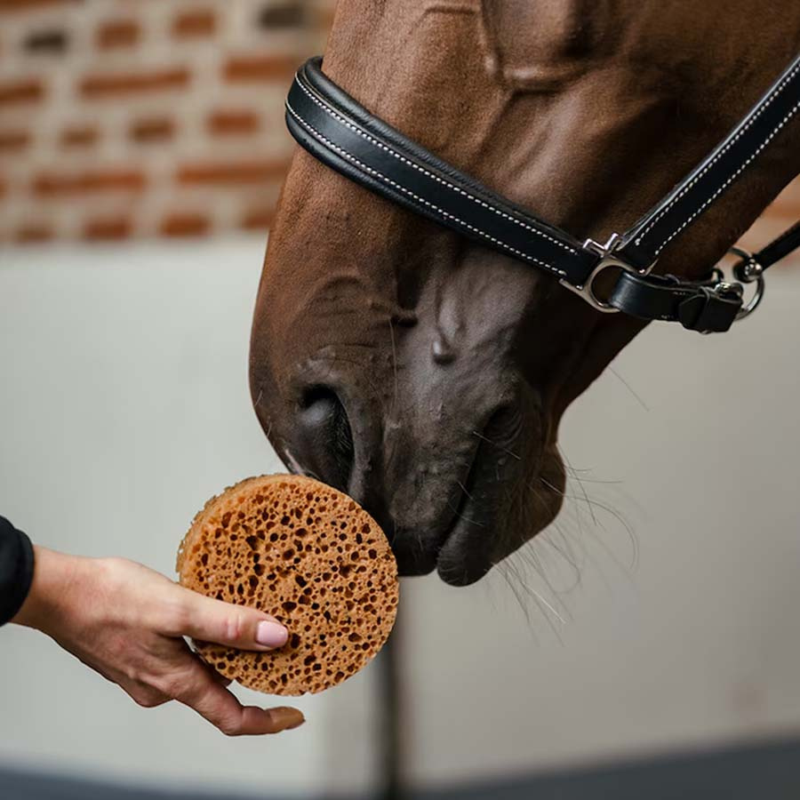 Éponge Ronde Marron