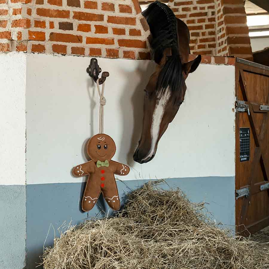 Jouet pour Cheval HS Bonhomme en Pain d'Épices en Daim
