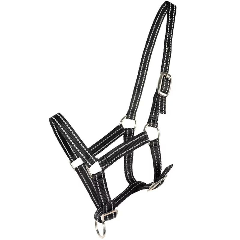 Licol pour poulain HS Reflective Noir