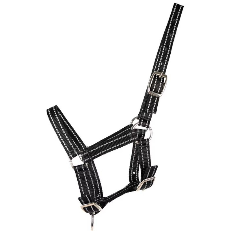 Licol pour poulain HS Reflective Noir