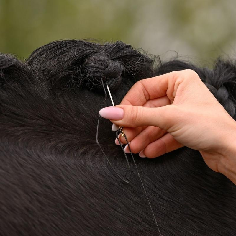 Kit de tressage crinière Noir