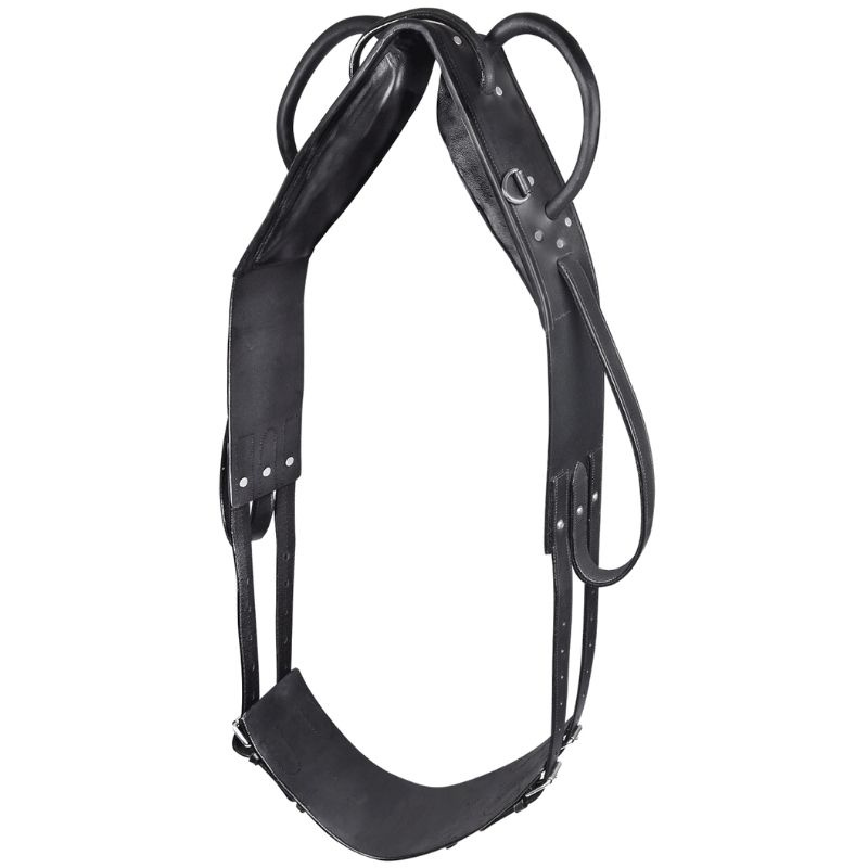 Surfaix de voltige Leather Noir