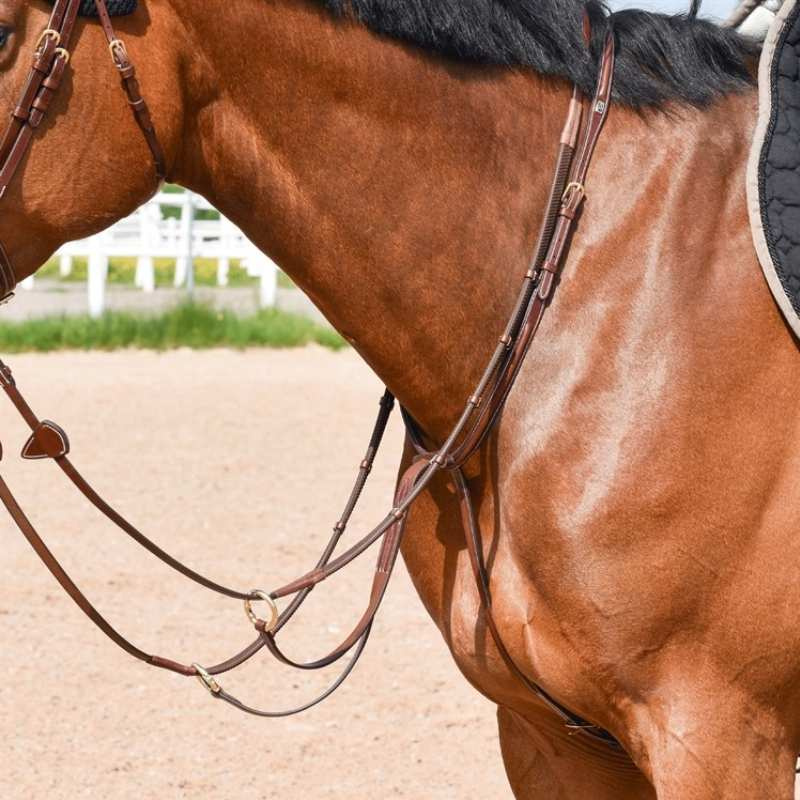 Martingale avec Logo en E et Anneaux Ouverts Marron/Laiton