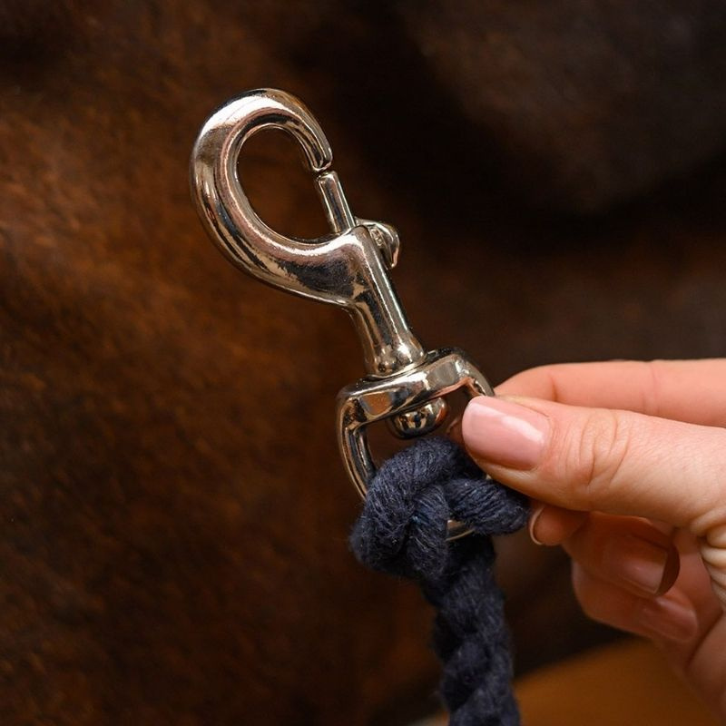 Mousqueton pour longe Snap Hook Argent
