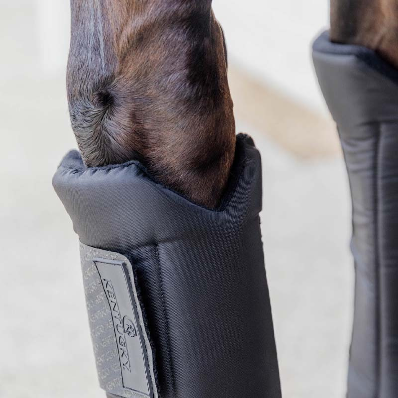 Guêtres d'écurie PROtect Classic Front Noir