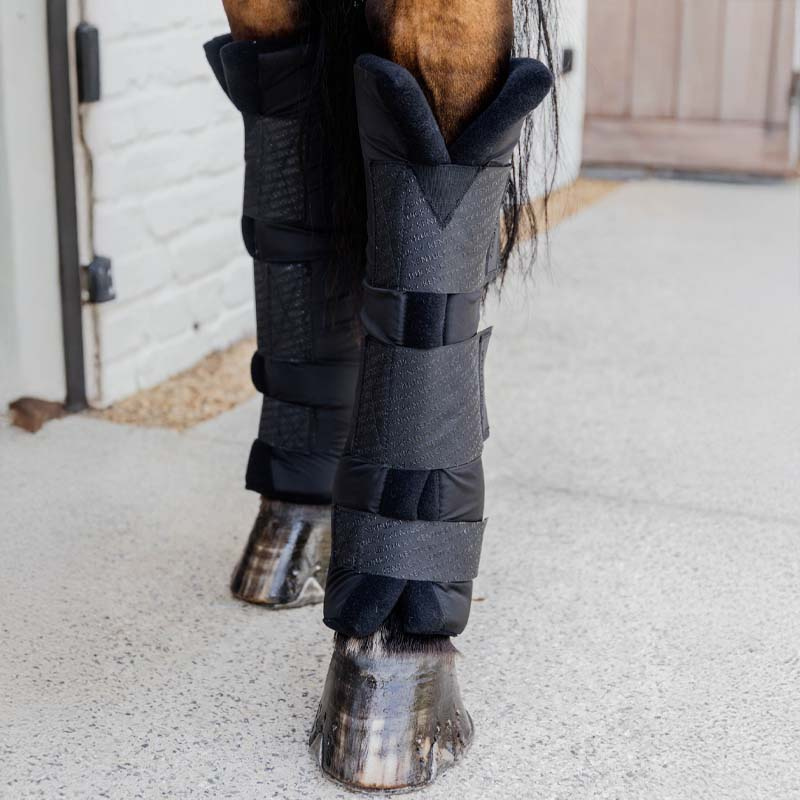 Guêtres d'écurie PROtect Classic Hind Noir
