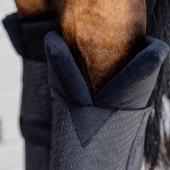 Guêtres d'écurie PROtect Classic Hind Noir Guêtres d'écurie PROtect Classic Hind Noir