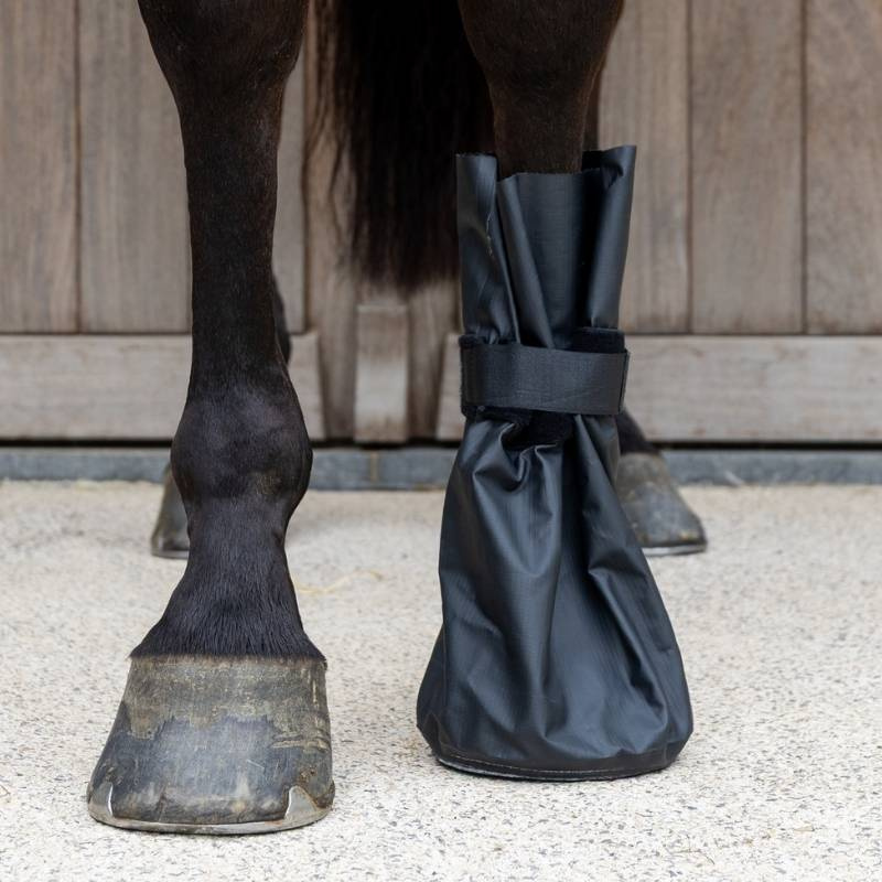 Hipposandales Medical & Ice 2-pack Noir