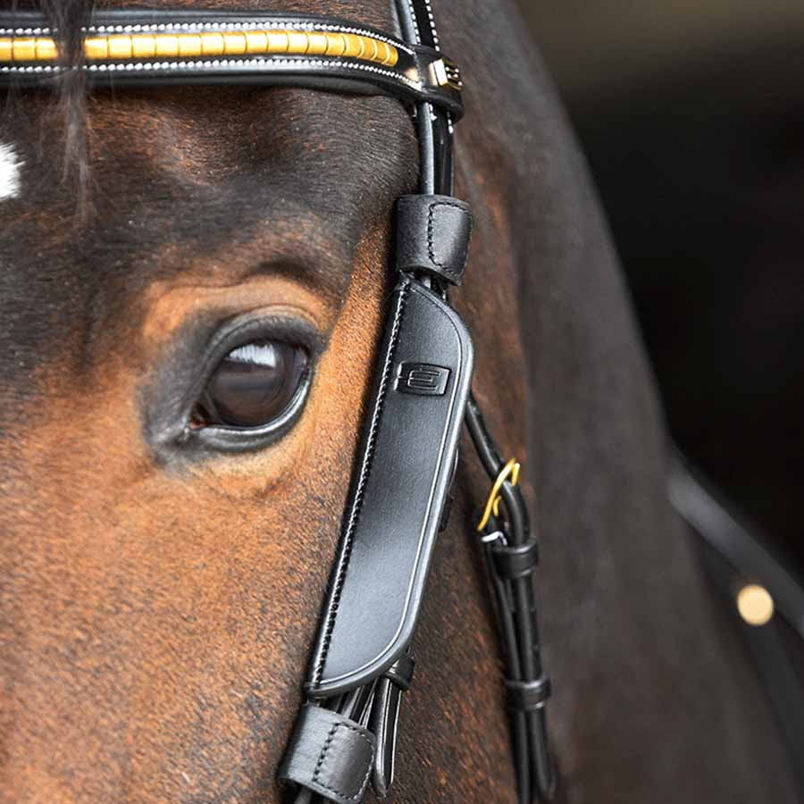 Focus Blinkers pour Pièce de Joue Noir