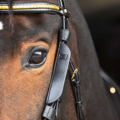 Focus Blinkers pour Pièce de Joue Noir Focus Blinkers pour Pièce de Joue Noir
