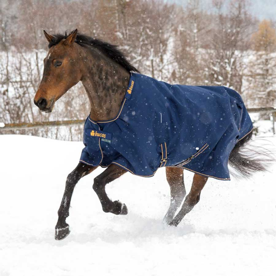 Couverture d'hiver Irish Turnout 300g Bleu Marine/Or