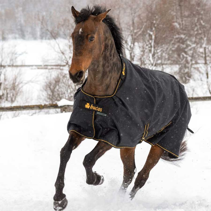 Couverture d'hiver Irish Turnout 300g Noir/Or