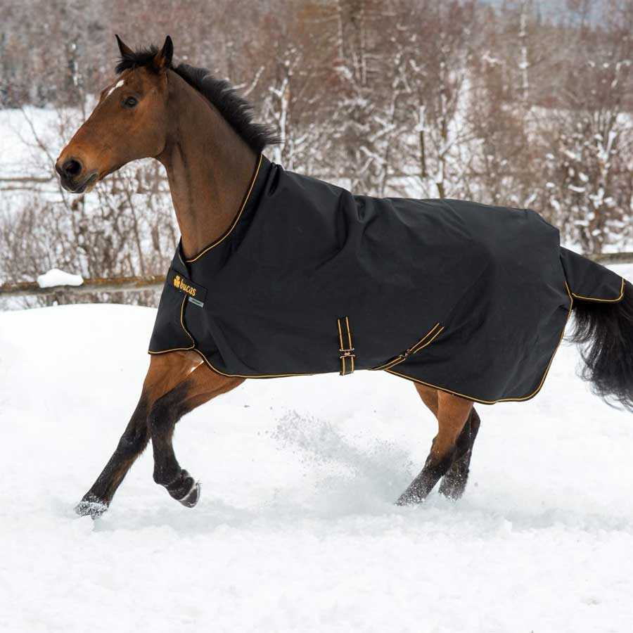 Couverture d'hiver Irish Turnout 150g Noir/Or