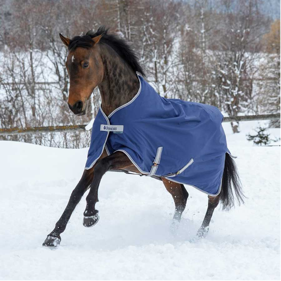Couverture d'hiver Pony Freedom Turnout 150g Bleu Marine