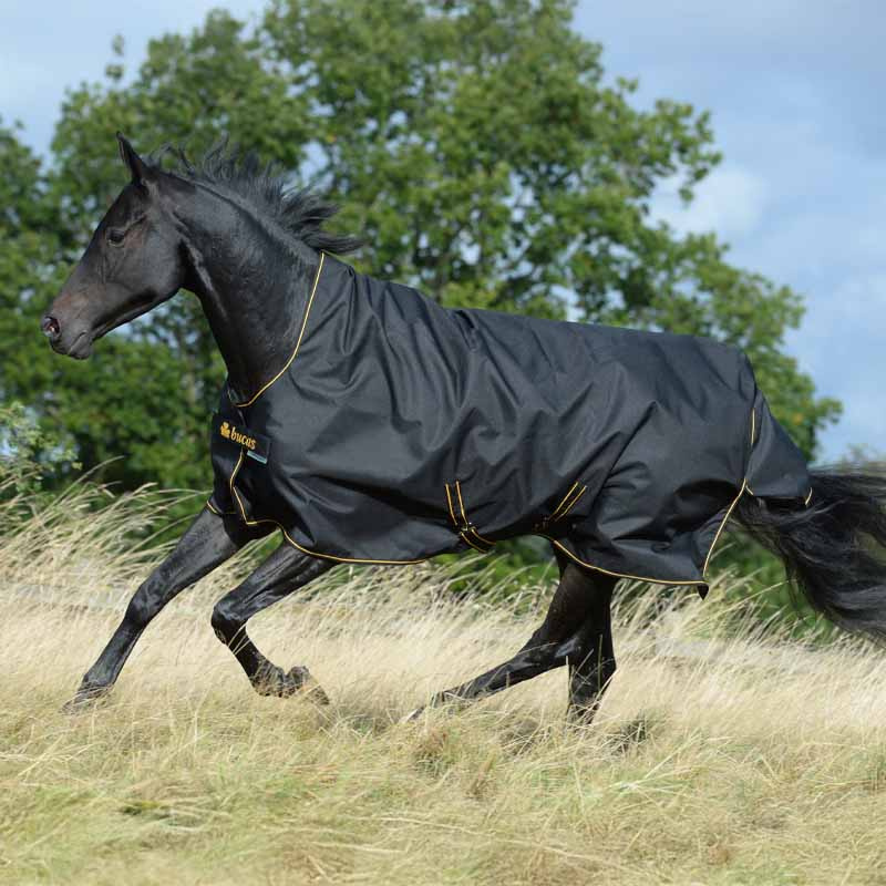 Couverture imperméable Irish Turnout 0g Noir/Or