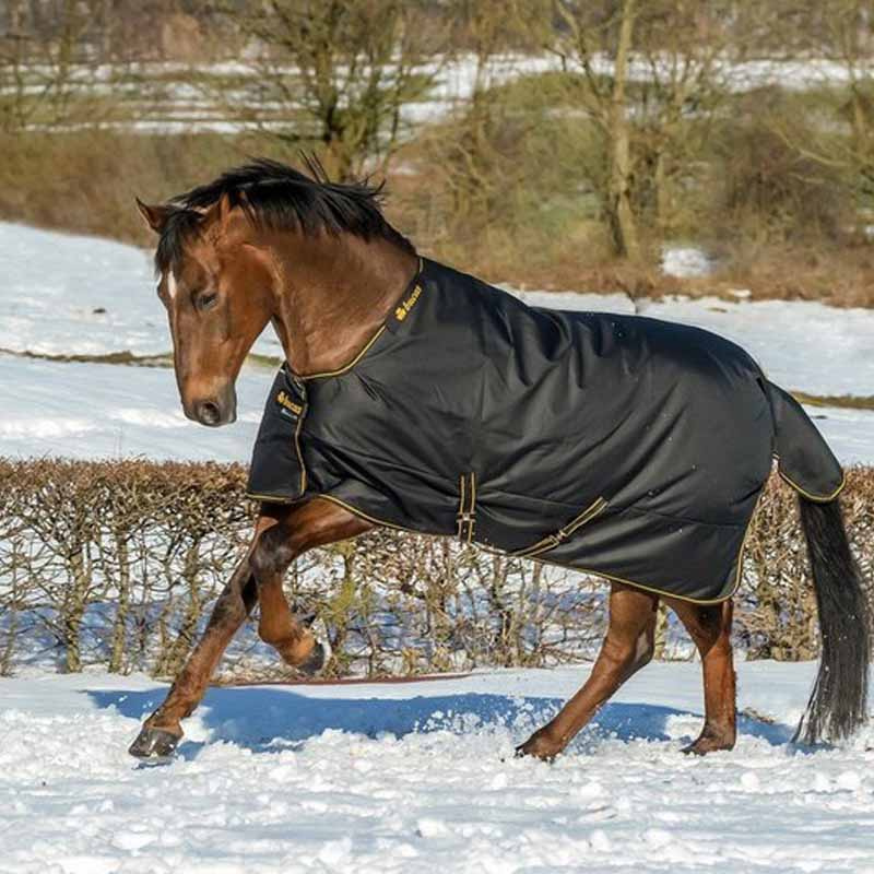 Couverture d'hiver Irish Turnout 250g Noir/Or
