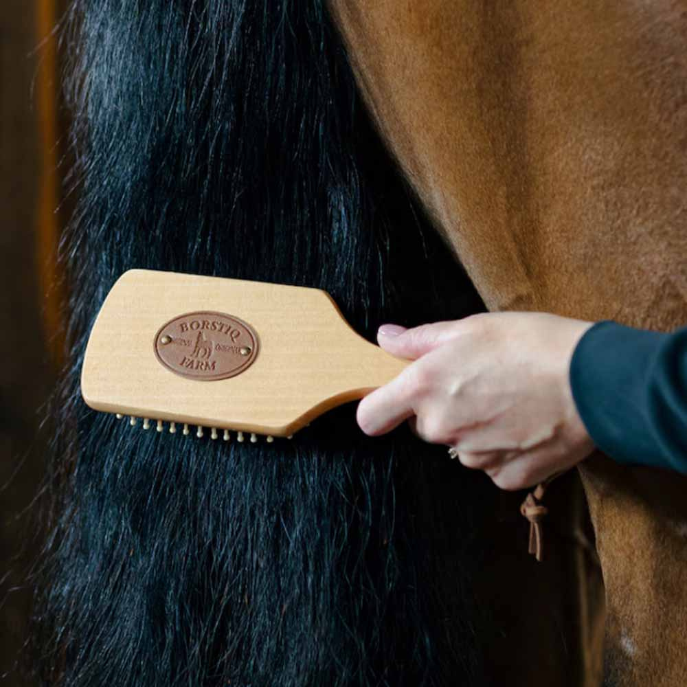 Brosse à Crinière et Queue