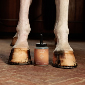 Huile pour sabots Shine Natural 500ml Huile pour sabots Shine Natural 500ml