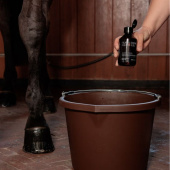 Brillance du pelage Super Shine Gloss Gel Almond 250ml Brillance du pelage Super Shine Gloss Gel Almond 250ml