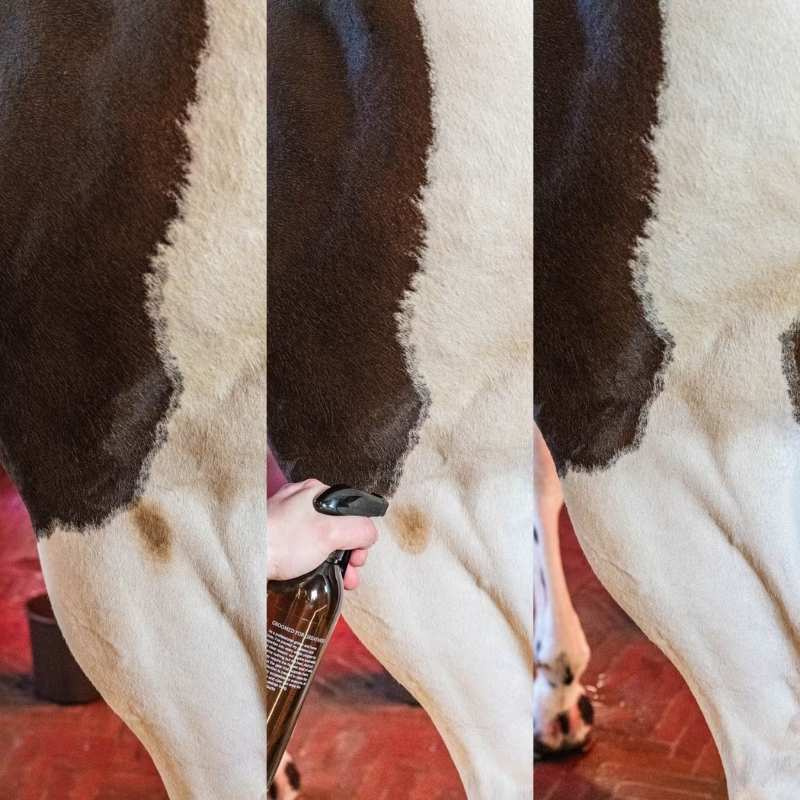 Shampooing sec Green Spot & Dust Remover Almond 500ml