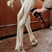 Shampooing sec Green Spot & Dust Remover Almond 500ml Shampooing sec Green Spot & Dust Remover Almond 500ml