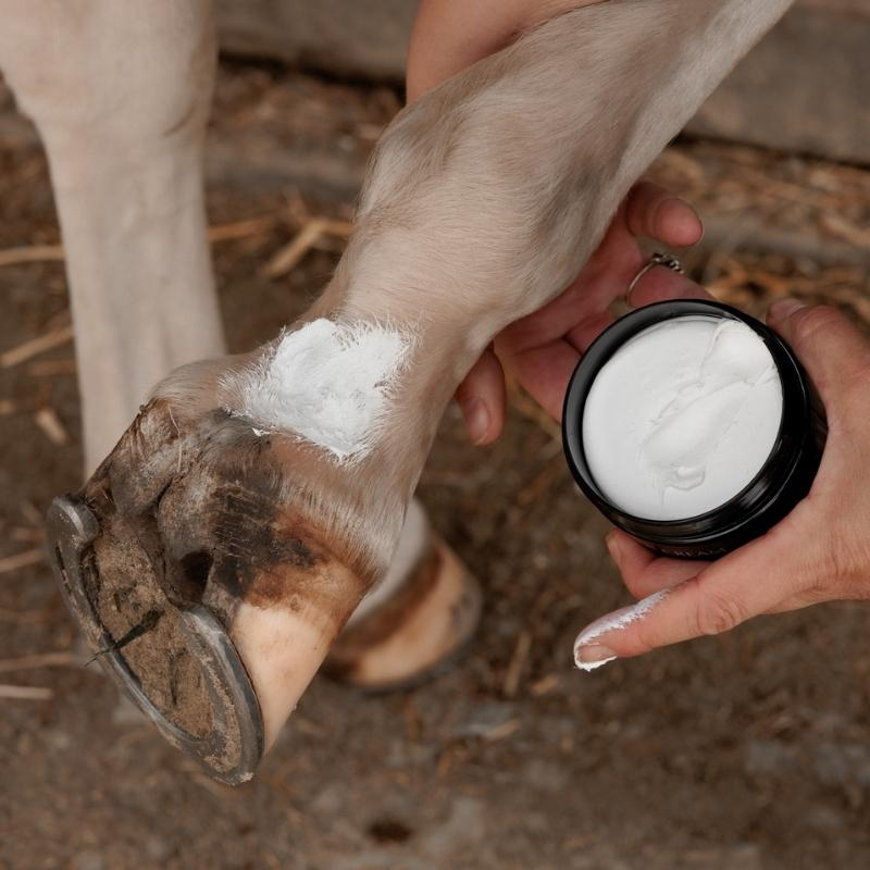 Mud Fever Creme Plus 250ml