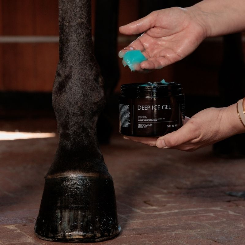 Gel rafraîchissant Deep Ice Gel 500ml