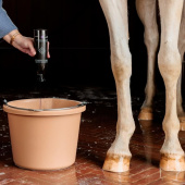 Shampooing pour chevaux gris Almond Gloss Purple 500ml Shampooing pour chevaux gris Almond Gloss Purple 500ml